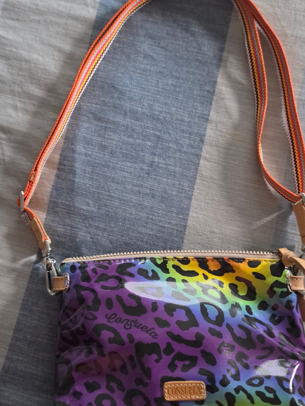 Consuela Rainbow Leopard Crossbody in Purple and Multicolor - Picture 5 of 7